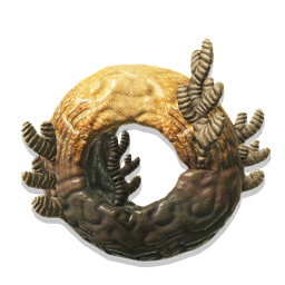 A piece of flotsam, wrenched from its years of drifting in the water when it became entangled in a fishing lure.