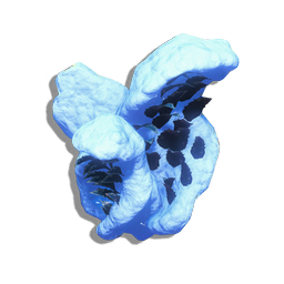 A dimorphic plant with fleshy, hair-covered foliage, tending to accumulate a covering of snow, and more delicate secondary leaves to attract pollinating wildlife.