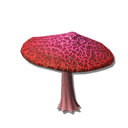 This species of fungus is notable for its dense capillary network and bioluminescent qualities. A circulating chain of chemical reactions produces the toadstool's nocturnal glow.