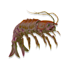 UI_FISH_HOT_COM_M_DESC