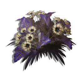 The papery petals of this flowering bush can thrive in a range of climates, enduring anything from frozen subsoil to supersaturated humidity.