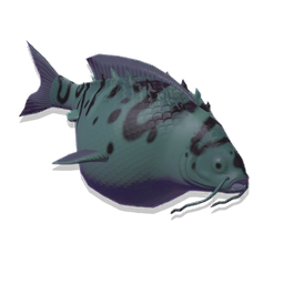 UI_FISH_HOT_COM_L_DESC