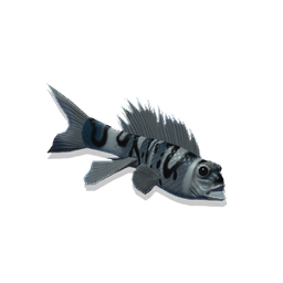 UI_FISH_DEEP_COM_S_DESC