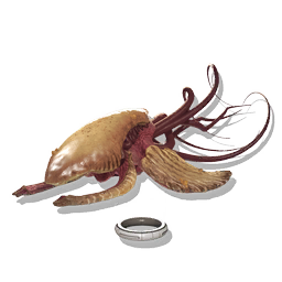 A juvenile cosmic leviathan, suitable for rehoming in a habitable base.