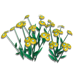 A hardy floral patch, genetically modified to thrive in all biomes, soil types, and weather conditions. These ligulate blossoms remain open day and night, absorbing light from both local and distant stars.