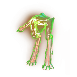 A living, fertile egg, <span class="typeTRADEABLE">ready to hatch!</span>