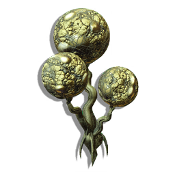 This plant is characterized by its spherical floral organs. These cavernous spheres release masses of toxic spores in reflexive response to nearby movement, clinging to the fur of nearby fauna for distribution and propagation.