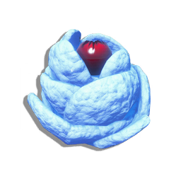 A fleshy, compact plant with hair-covered foliage, tending to accumulate a covering of snow. The cupped flowers unfold in response to drops in temperature, allowing pollen to be distributed by driving snow and wind.