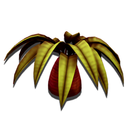 A squat, easily-managed form of the larger palm species.