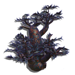 A thick-trunked tree with a distinctive rosette-like pattern across its bark. Water is retained in the trunk, the tree swelling to tremendous proportions during wet seasons.