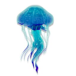 "A thousand eyes erupt from its soft flesh: a never-ending cycle of rising, blinking, sinking, and re-emergence."