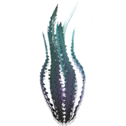 A piece of flotsam, wrenched from its years of drifting in the water when it became entangled in a fishing lure.