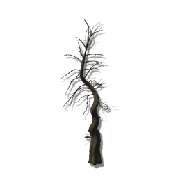 This ancient stump was harvested from a clonal tree colony, estimated to have lived for over a hundred millennia. Its bark releases a pleasant mossy fragrance.